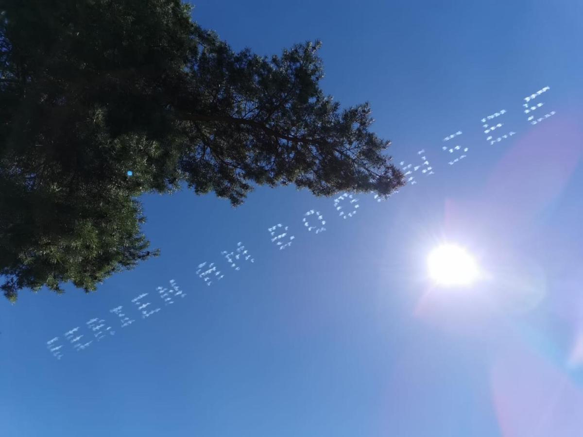 Gaestehaus Zum Landesteg Immenstaad am Bodensee Exteriör bild