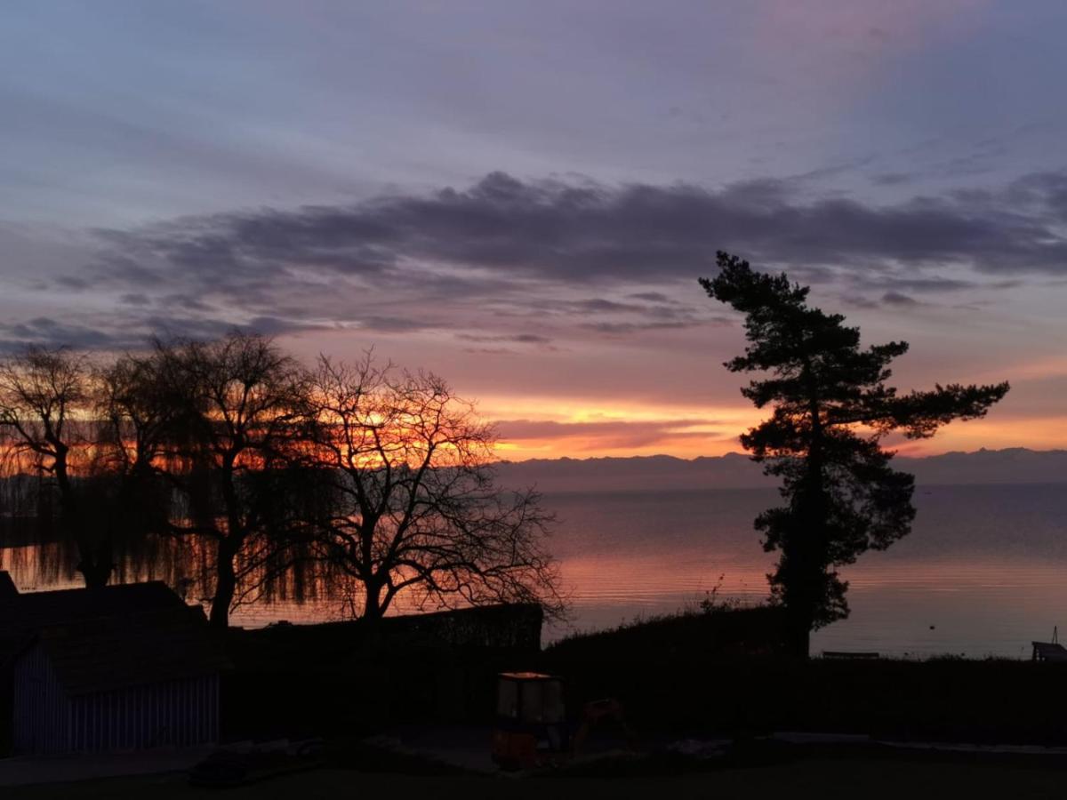 Gaestehaus Zum Landesteg Immenstaad am Bodensee Exteriör bild