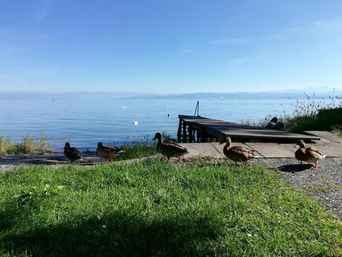 Gaestehaus Zum Landesteg Immenstaad am Bodensee Exteriör bild